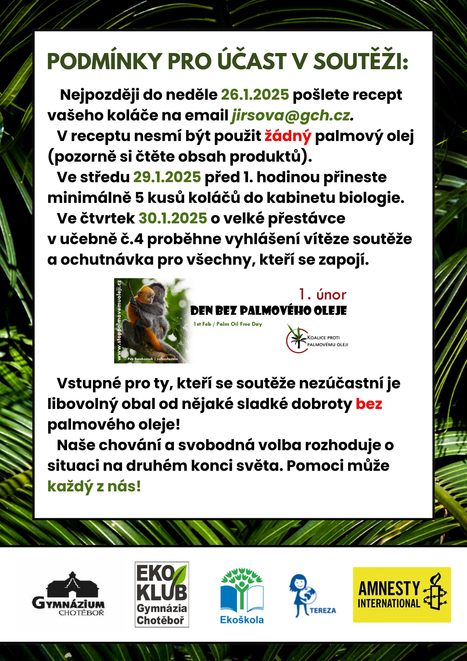 Den bez palmáče 2025