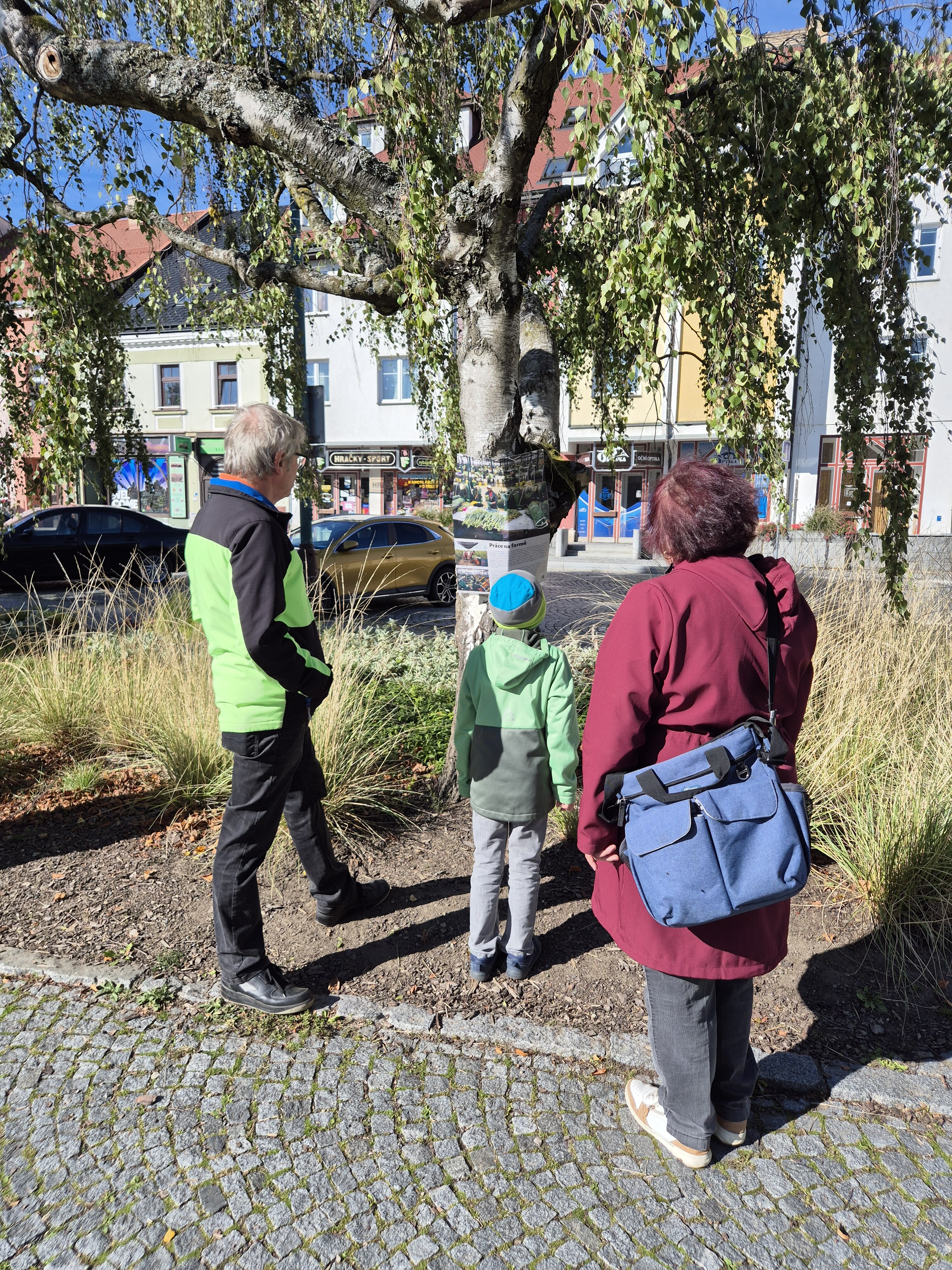 Výstava na stromech 2025