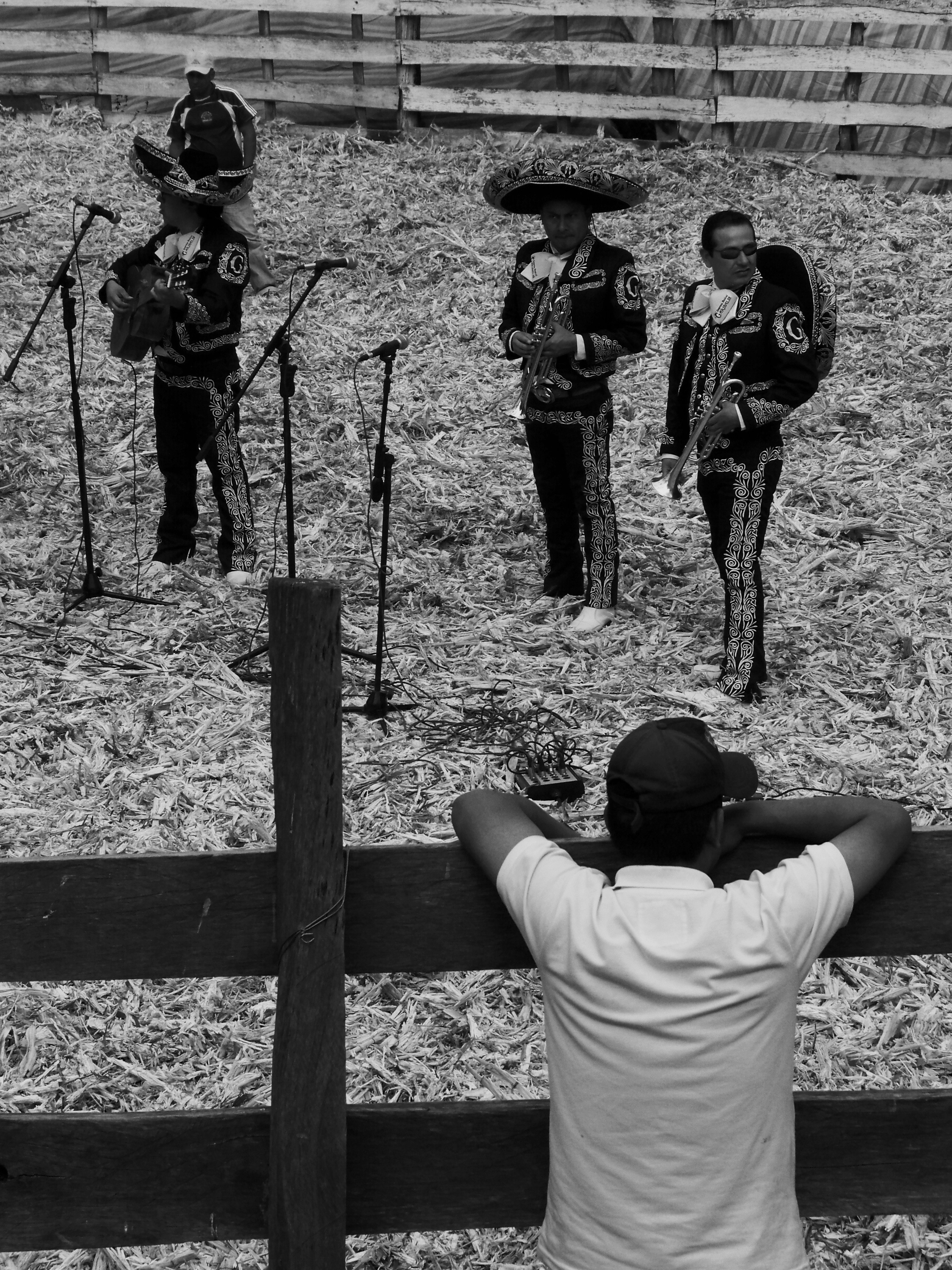 Klasická Taurína se neobejde bez Mariachi, hudebního doprovodu